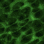 Animated green tiled background image.